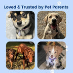 Dog ID Tag with QR Code & NFC, Silent Silicone Dog Name Tags Personalized for Pets- Scan QR for Instant Location Alert, Emergency Contact and Modifiable Pet Profile (White)