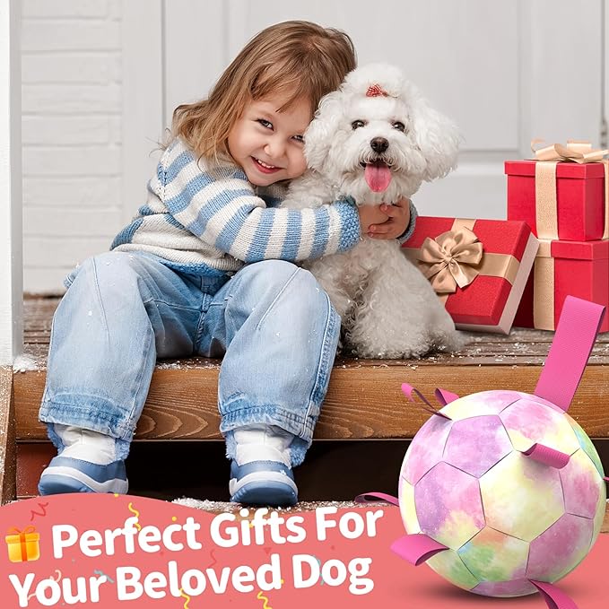 QDAN Premium Dog Toys Soccer Ball with Straps, Puppy Balls for Small Medium Dogs, Dog Water Toys Pool Toys, Puppy Dogs Pet Birthday Gifts, Rainbow（6 Inch）