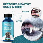 Dog Dental Care & Bad Breath Remedy, Natural Dog Oral Care for Healthy Teeth, Mouth & Gums, Daily Canine Breath Freshener, Plaque, Tartar Control Helps Reduce Gingivitis, Easy to Use 800 Tiny Pills