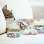 Weruva BFF Minced Natural Wet Cat Food, Tuna and Tilapia Twosome in Gelee, 3oz Can, Pack of 24