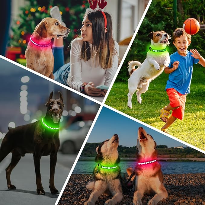 Flashseen Light Up Dog Collars, Adjustable LED Dog Collar Rechargeable, Glow in The Dark Dog Collars Super Bright Glow Collars for Night Walking for Dogs (Pink, Medium)