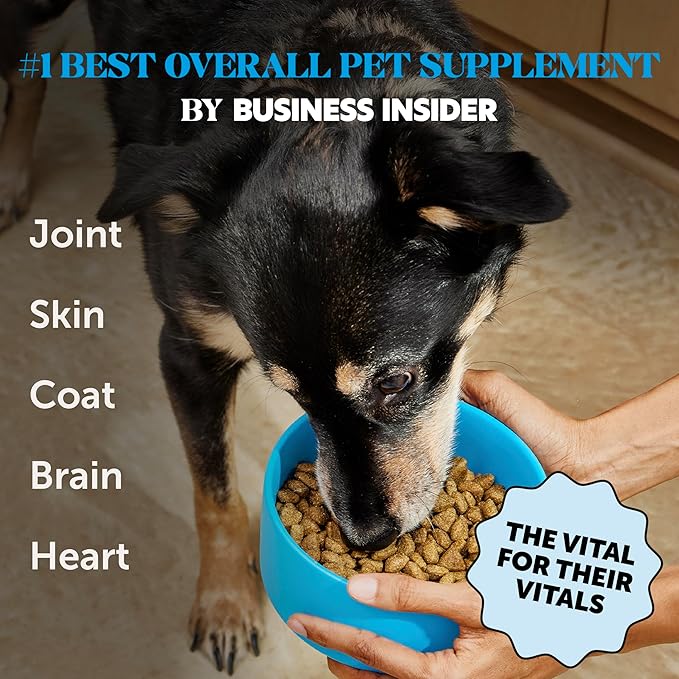 Omega 3 Fish Oil Supplement for Dogs & Cats (32oz), Wild Caught Omega 3 Fish Oil for Skin and Coat Health, Supports Shedding, Skin & Coat, Immunity, Joint, Brain & Heart, EPA + DHA