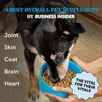 Omega 3 Fish Oil Supplement for Dogs & Cats (32oz), Wild Caught Omega 3 Fish Oil for Skin and Coat Health, Supports Shedding, Skin & Coat, Immunity, Joint, Brain & Heart, EPA + DHA