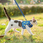 BINGPET Cat Harness with Leash Escape Proof - Fashionable Mesh Cat Dog Walking Harness Leads, Adjustable for Kitties Puppies Small Animals,Galaxy,L
