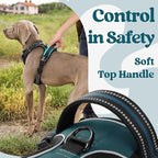 rabbitgoo Dog Harness Medium Sized, No Pull Pet Harness with 3 Buckles, Adjustable Soft Padded Vest with Control Handle, Walking Reflective Pet Vest for Medium Dogs, Blue Coral, M