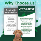 Vet's Best Dog Toothpaste & Dog Toothbrush, Dental Kit, Plaque Remover for Teeth, Whitens Teeth, Freshens Canine Breath, Veterinarian Formula, Finger Toothbrush Included