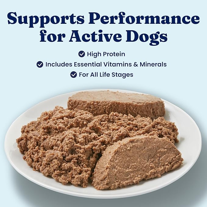 Solid Gold High Protein Wet Dog Food for Large Dogs & Small Dogs - Soft Grain Free Canned Dog Food w/Real Beef, Prebiotics & Superfoods for Gut Health & Immune Support - All Ages - 6ct 13.2oz Cans