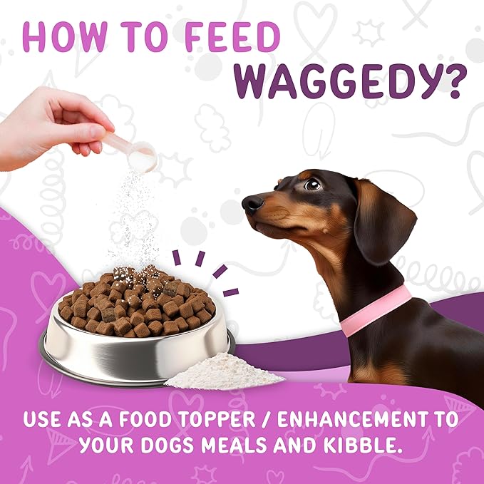 waggedy Advanced Probiotics Gut & Digestion Food Topper — Digestive Enzymes w/Papaya — Probiotic Powder — Dog Supplement Powder — Products for Dogs Over 6 Weeks (114g)