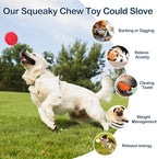 2 Pack Indestructible Squeaky Dog Balls for Aggressive Chewers, Durable Rubber Chew Toys for Teething, Anxiety Relief Perfect for Large, Medium Breeds, Indoor Outdoor Use