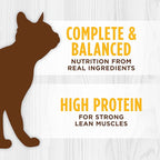 Instinct Original Pate Wet Cat Food, Grain Free Recipe - Real Chicken, 3 oz. Cans (Pack of 24)