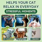 YOTANGO Cat Calming Treats – 500 Crunchy Calming Chews for Cats Kittens, Anxiety Relief & Stress Reduction for Travel, Thunder, Vet Visits, with Chamomile, L-Theanine & L-Tryptophan (Chicken Flavor)