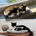 Cat Bed for Small Cat, Washable Indoor Cat Cushion Bed, Soft and Cozy Plush Pet Bed-S