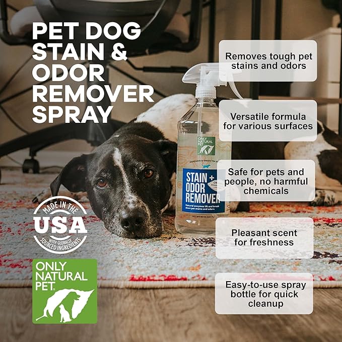 Only Natural Pet Enzyme Powered Stain & Odor Eliminator - Professional Pet Urine Pee Cleaner Deodorizer For Dogs - Hardwood Floors Carpets Upholstery - Fresh Mandarin Orange & Green Tea Scent - 32Floz
