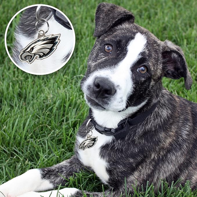 NFL Philadelphia Eagles Engraving Pet ID Tags in 32 Team Logo Shapes Personalized Dog Tags and Cat Tags with 3 Lines of Customizable Text for Tracking & Safety. Stainless Steel Pet ID Tracking Tags