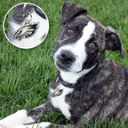 NFL Philadelphia Eagles Engraving Pet ID Tags in 32 Team Logo Shapes Personalized Dog Tags and Cat Tags with 3 Lines of Customizable Text for Tracking & Safety. Stainless Steel Pet ID Tracking Tags