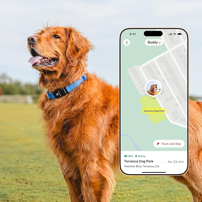 Fi Series 3+ Smart Dog Collar - GPS Dog Tracker and Activity & Fitness Monitor, Waterproof, LED Light, Escape Alerts, Nationwide Coverage [Free 6 Month Membership] (Blue, Extra Small)