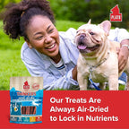 Plato Pet Treats Air Dried Dog Treats Salmon Thinkers Sticks, Natural Dog Treats, Real Meat, Air Dried, Made in the USA, 10oz