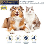 Rx Vitamins Amino B Plex Cat & Dog Supplement - Vitamin B Complex Liquid Plus Amino Acids for Dogs & Cats - Appetite Booster and Weight Gainer Cat & Dog Vitamins - 4 oz