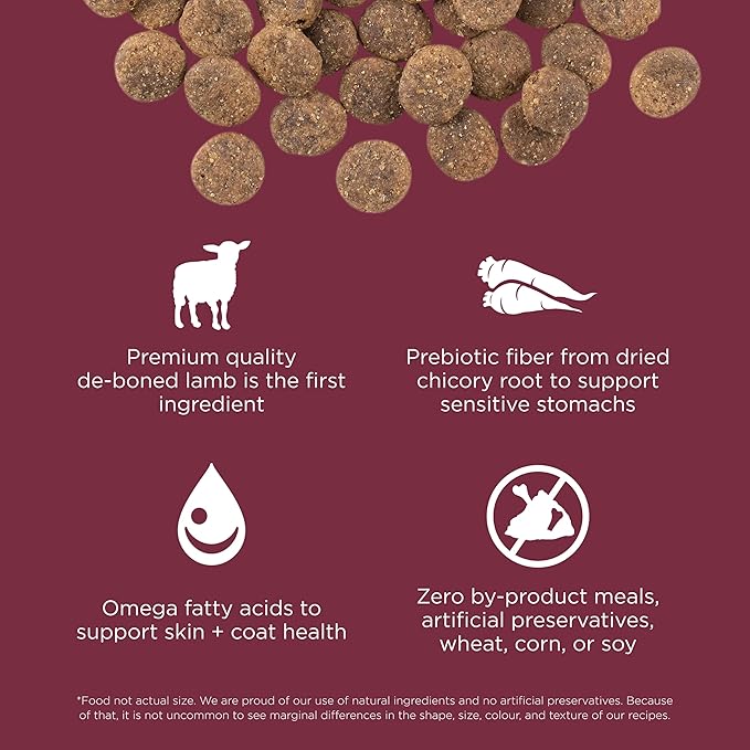 Go! Solutions Sensitivities Limited Ingredients, Grain-Free Dry Dog Food, Lamb Recipe for Sensitive Stomach, 22 lb Bag