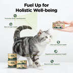 ZEAL New Zealand Wet Cat Food – High Protein, Grain-Free with Superfoods (Venison, 6oz Can, 12-Pack)