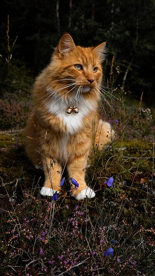 Beau's Bells 2 Extra Loud Cat & Dog Bells | Pet Tracker | Save Birds & Wildlife | Luxury Handmade Copper (Small)