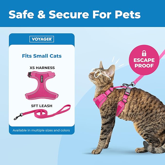 Voyager Escape-Proof Step-in Lock Cat Harness & 5ft Neoprene-Handle Leash Set All-Weather Mesh with Reflective Stitching for Small to Large Cats by Best Pet Supplies, Fuchsia (327), XS