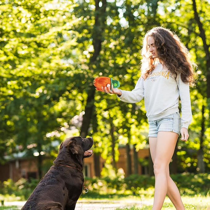 Flourish Pets 2 in 1 Multi-Layer Chew Toy for Active Dogs | Non-Toxic BPA Free Double Stitched Soft Fabric Exterior Dog Toys | Long-Lasting Dog Plush Toys – Leprechaun 3.5"