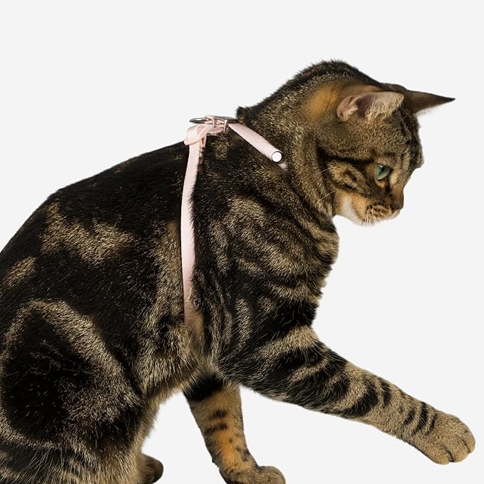 Escape Proof Cat Harness Anti-Choke Quick Release Adjustable QR Code Soft Nylon Durable Lightweight Figure 8 Cat Harness Anti Escape for Kitten Small Medium Large Cats (Blush Pink, S)