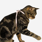 Escape Proof Cat Harness Anti-Choke Quick Release Adjustable QR Code Soft Nylon Durable Lightweight Figure 8 Cat Harness Anti Escape for Kitten Small Medium Large Cats (Linen, M)