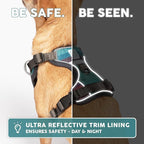 Embark Adventure Dog Harness, No-Pull Reflective Trim Dog Harness for Small, Medium & Large Dogs - Heavy Duty Oxford, 2 Leash Clips & Gel Lined Handle. Soft & Padded Puppy Dog Vest for Any Breed