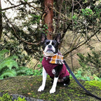 Gooby - Zip Up Fleece Vest, Fleece Jacket Sweater with Zipper Closure and Leash Ring, Fuchsia Wash, Medium