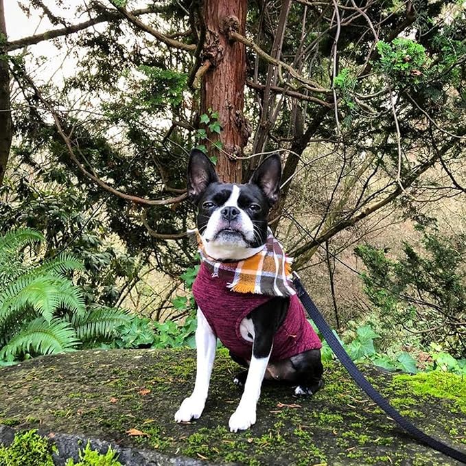 Gooby - Zip Up Fleece Vest, Fleece Jacket Sweater with Zipper Closure and Leash Ring, Fuchsia Wash, Large