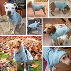 BINGPET Dog Hoodies - Fleece Lined Fall Dog Puppy Sweatshirt Soft Warm Sweater Winter Hooded Clothes for Small Medium Large Dogs & Cats