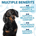 Hemp Calming Chews for Dogs with Anxiety and Stress - Anxiety Relief Chews for Storms, Fireworks, Thunder, Barking, Separation - Valerian, L-Tryptophan, Hemp Oil - Peking Duck- 120 Dog Calming Treats