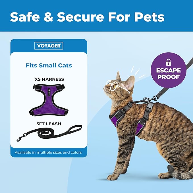 Voyager Escape-Proof Step-in Lock Cat Harness & 5ft Neoprene-Handle Leash Set All-Weather Mesh with Reflective Stitching for Small to Large Cats by Best Pet Supplies, Black Trim-Purple (327), XS