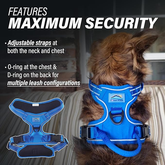 Doggie Design Venture Paw No Pull Dog Harness - Simple Adjustable Puppy Harness - Anti Pull Dog Collar for Walks and Outdoor Adventures - Mountain Lake, S