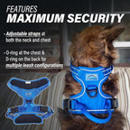 Doggie Design Venture Paw No Pull Dog Harness - Simple Adjustable Puppy Harness - Anti Pull Dog Collar for Walks and Outdoor Adventures - Mountain Lake, S