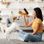 Dog Dog Big Fat Squirrel Plush Chew Toy Stuffed Animal with Squeaker and Smooth Fur and Durable Fabric with Fluffy Tail Surprised Look for Dogs, Kids and Animals