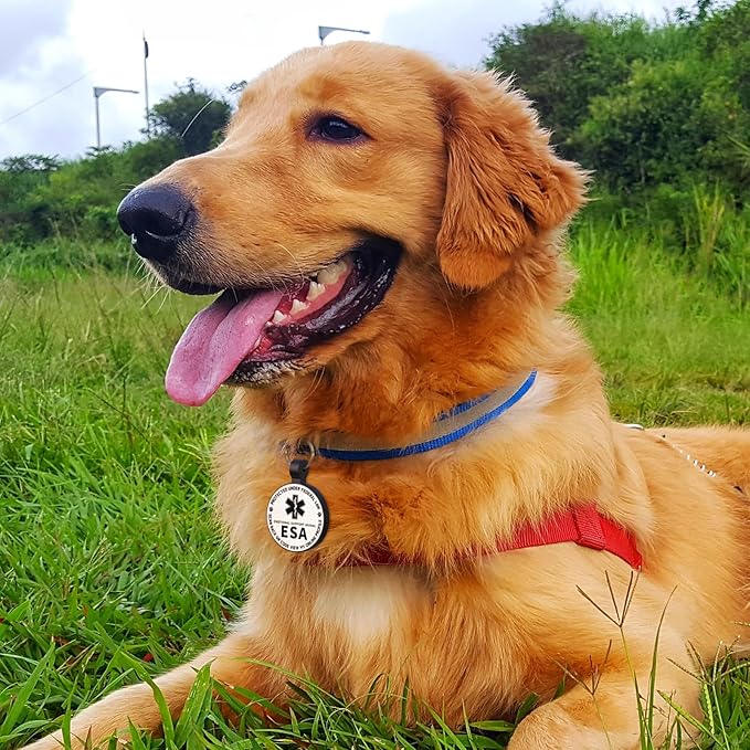 MYLUCKYTAG QR Code ESA Emotional Support Dog ID Tag - Pet Online Profile - Scan QR Receive Instant Pet Location Alert Email