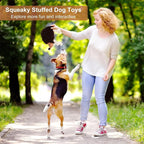 Dog Squeaky Toys for Dogs - Hedgehog Mop Plush Interactive Rope Toy, Durable Chew Toy with Squeaker and Crinkle for Small to Large Dogs, Tug of War Pet Toy for Puppies & Aggressive Chewers