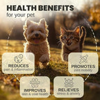 Billion Pets - Hemp Oil for Dogs and Cats - Helps with Anxiety, Pain, Stress, Sleep, Arthritis, Seizures Relief - Hip and Joint Support - Calming Drops