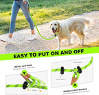 lynxking Slip Lead Dog Leash Reflective, Heavy Duty Comfortable Strong Rope Leash for Large Medium Small Dogs No Pull Training (Light Green, Small 3/8in x 6ft-Slip Lead)