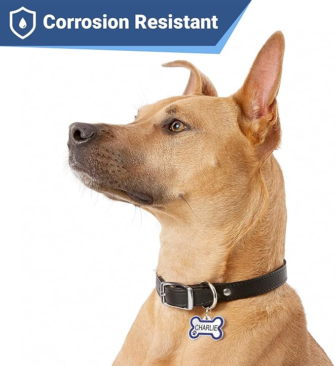 GoTags Stainless Steel Bone Dog Tag with Color Outline and Paw Print, Personalized Pet ID Tag for Dogs and Cats, Custom Engraving with up to 5 Lines of Text on Both Sides (Blue, Regular)