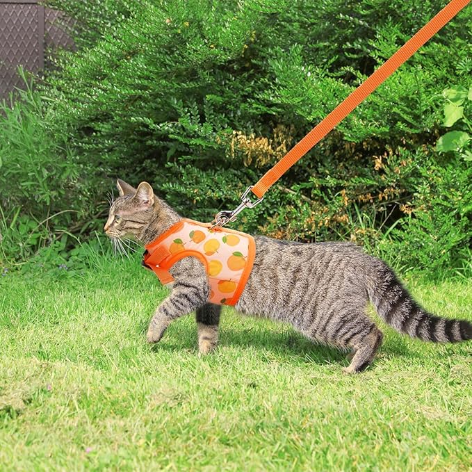 BINGPET Cat Harness with Leash Escape Proof - Fashionable Mesh Cat Dog Walking Harness Leads, Adjustable for Kitties Puppies Small Animals,Orange,S