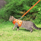 BINGPET Cat Harness with Leash Escape Proof - Fashionable Mesh Cat Dog Walking Harness Leads, Adjustable for Kitties Puppies Small Animals,Orange,S