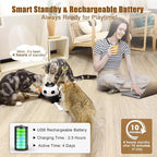 3-in-1 Automatic Cat Toys for Indoor Cats, Fluttering Butterfly, Whack a Mole, Rotating Feather Wand, USB Rechargeable Interactive Feather Toys for Multi-cat Family (Black)