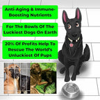 Anti-Aging & Immune Support | Organic, Human-Grade Ingredients | Medicinal Plants & Mushroom Extracts | Omega 3's, Antioxidants, Probiotics, Vitamins & Minerals | Plant-Based & Vegan