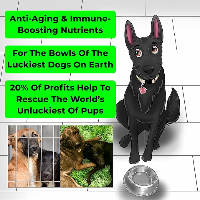 Anti-Aging & Immune Support | Organic, Human-Grade Ingredients | Medicinal Plants & Mushroom Extracts | Omega 3's, Antioxidants, Probiotics, Vitamins & Minerals | Plant-Based & Vegan