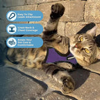 Voyager Escape-Proof Step-in Lock Cat Harness & 5ft Neoprene-Handle Leash Set All-Weather Mesh with Reflective Stitching for Small to Large Cats by Best Pet Supplies, Purple/Black Trim, XS