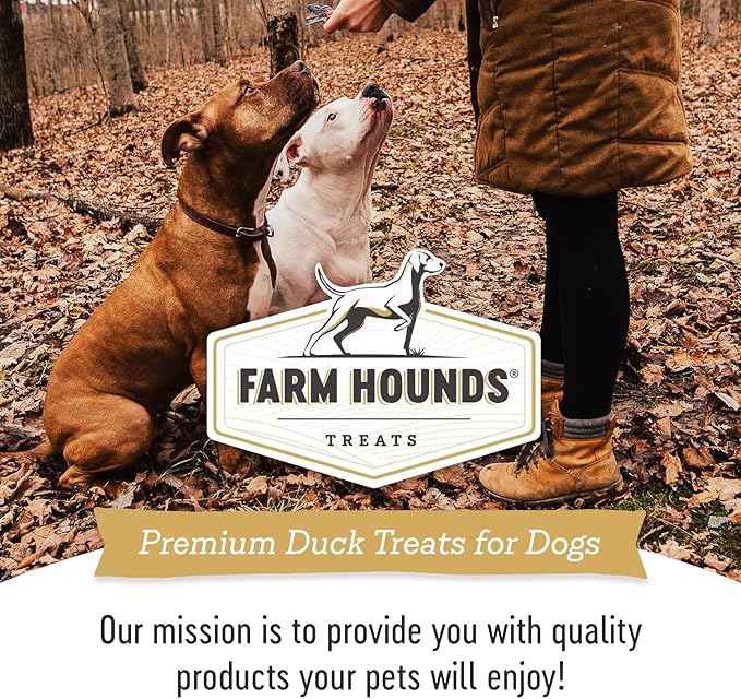 Farm Hounds - Duck Trainers - Premium Natural Jerky for Dogs - Made from 100% Humanely Raised Duck - Easy-Break - Great for Training & Treats - No Added Fillers - Made in USA - 4.5 oz - 2 Pack